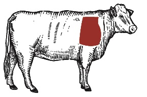 Sketched Steer with beef parts highlighted in red to note which cuts are used in the Burger Blend