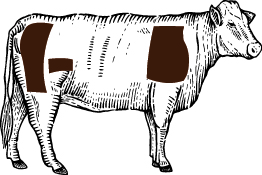 Sketched Steer with parts highlighted in brown to note which cuts are used in the Burger Blend