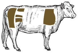 Sketched Steer with parts highlighted in green to note which cuts are used in the Burger Blend