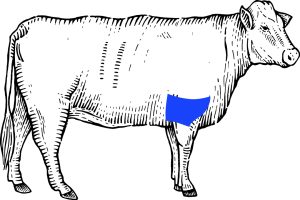 cut of brisket beef location on a steer